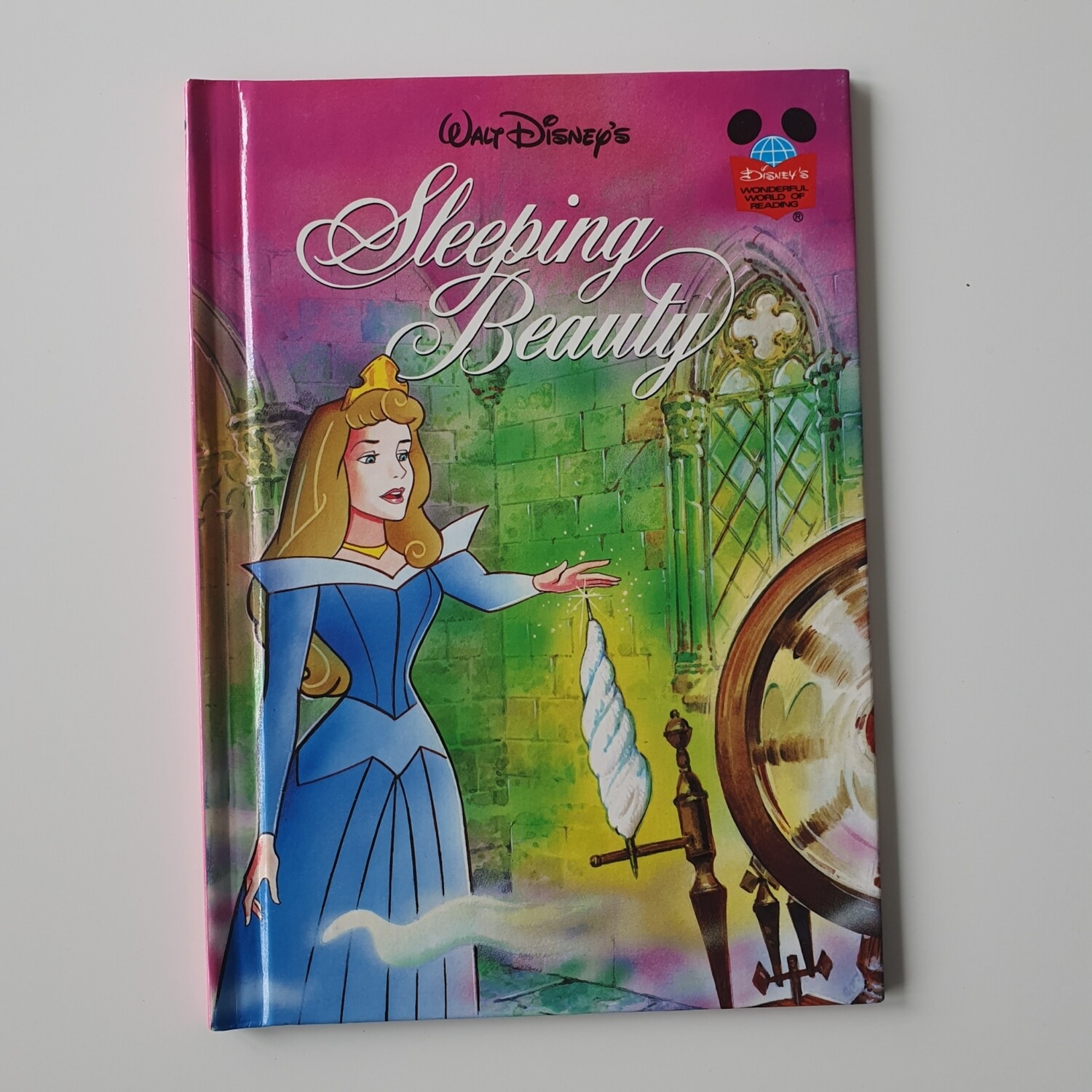 Sleeping Beauty Notebook