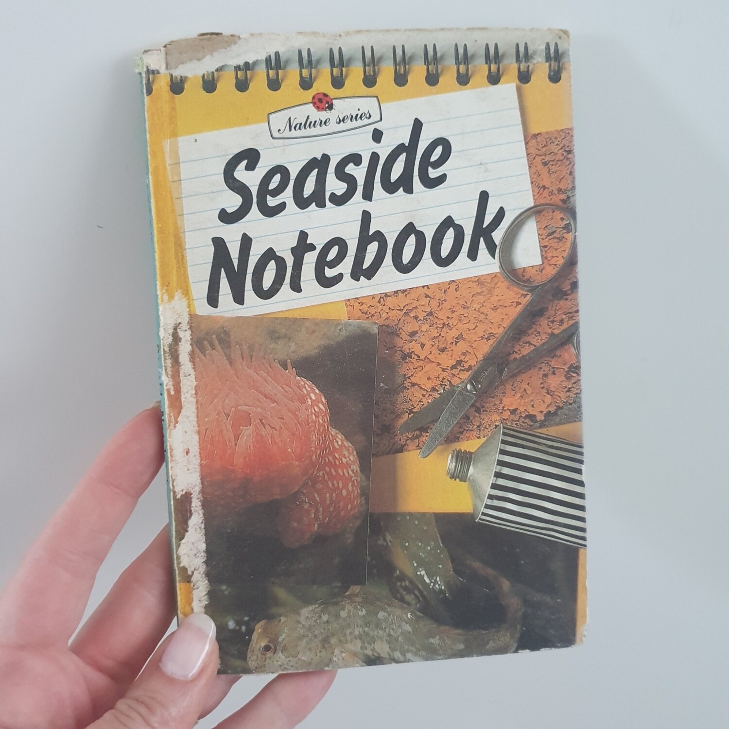 The Seaside - Beach Notebook