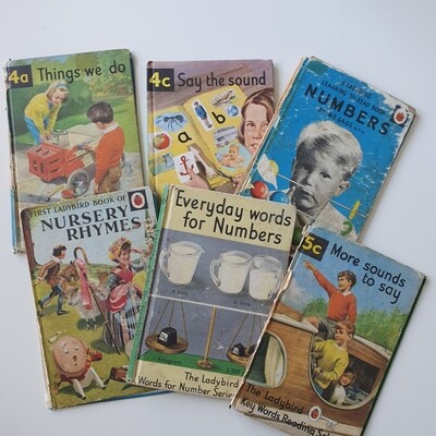 Choose from a selection of Vintage Ladybird Books - no original pages (1960s - 1980s)