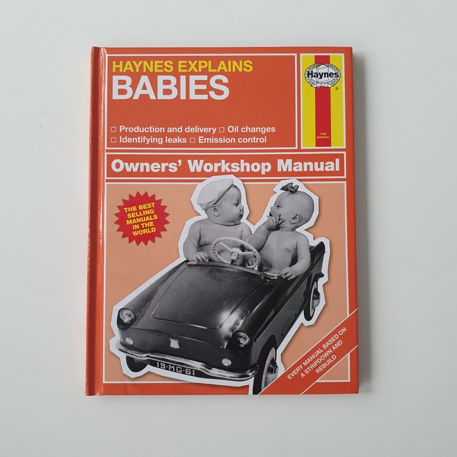 Babies Haynes Manual - Baby / pregnancy