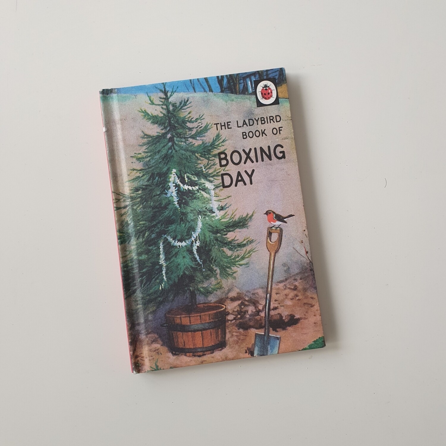 Boxing Day - ladybird book for grown ups