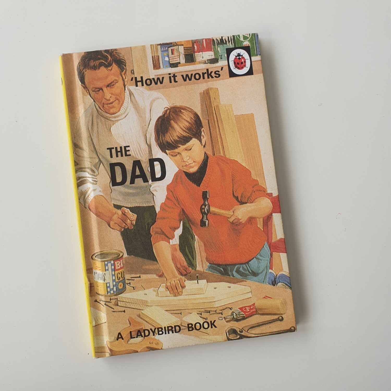The Dad - ladybird book 