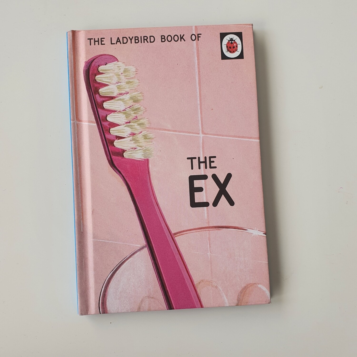 The Ex - ladybird book - pink toothbrush