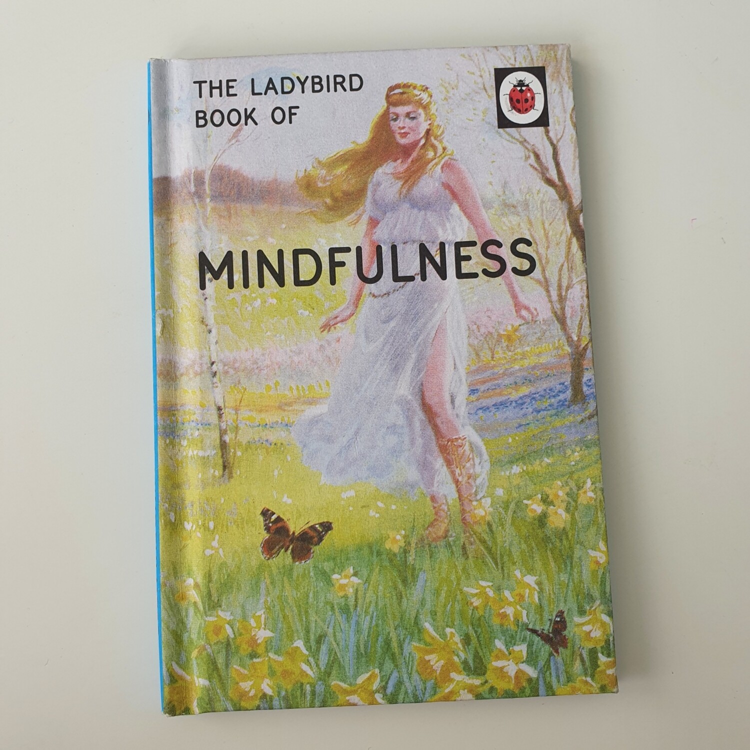 Mindfulness - ladybird book 