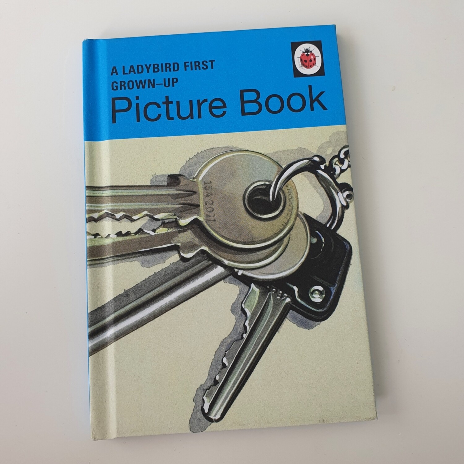 Keys Picture Book - ladybird book - new home - new car