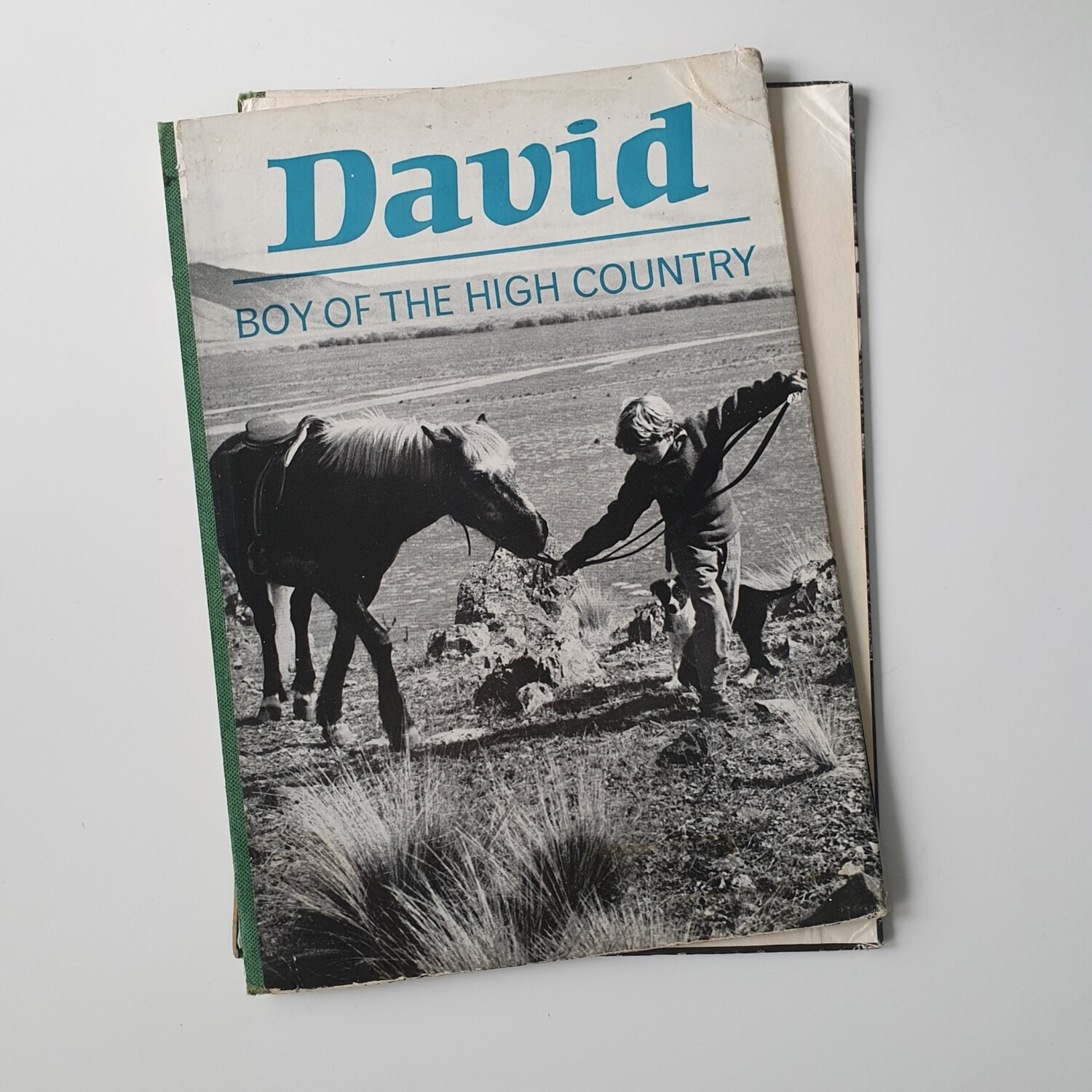 David Notebook - Boy of the High Country - horse, New Zealand