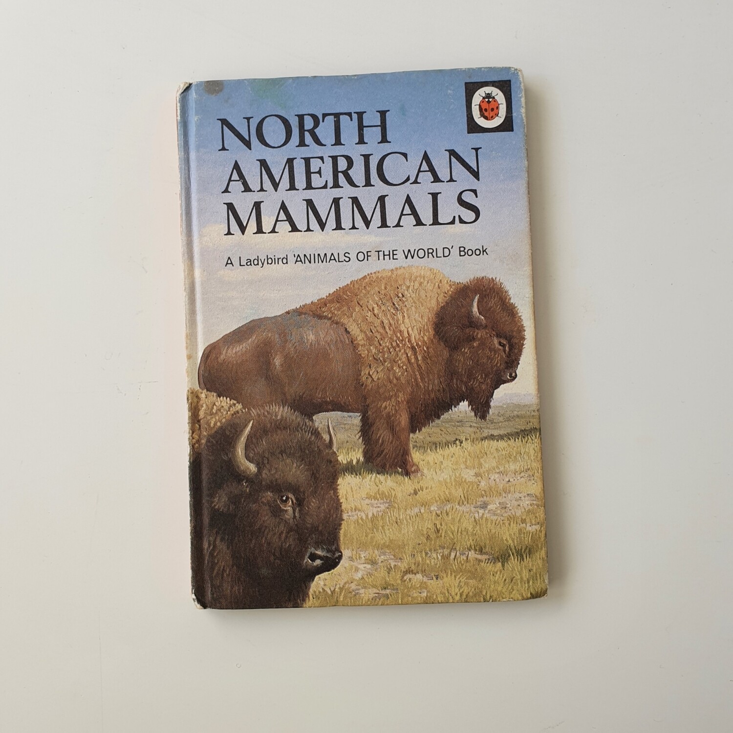 North American Mammals - Bison