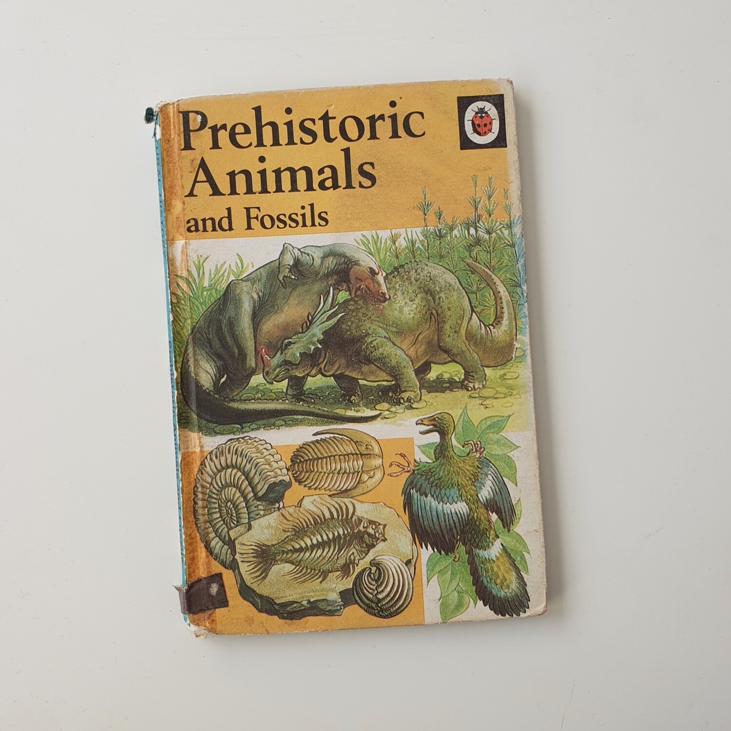 Prehistoric Animals and fossils - Dinosaur