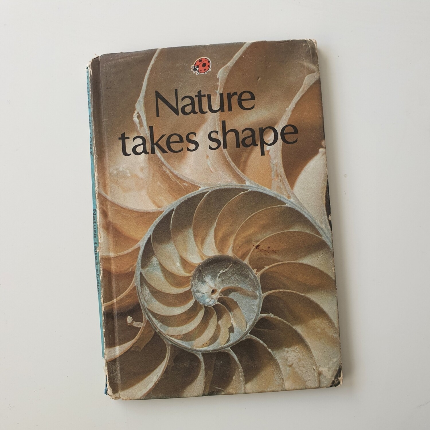 Nature Takes Shape - shell