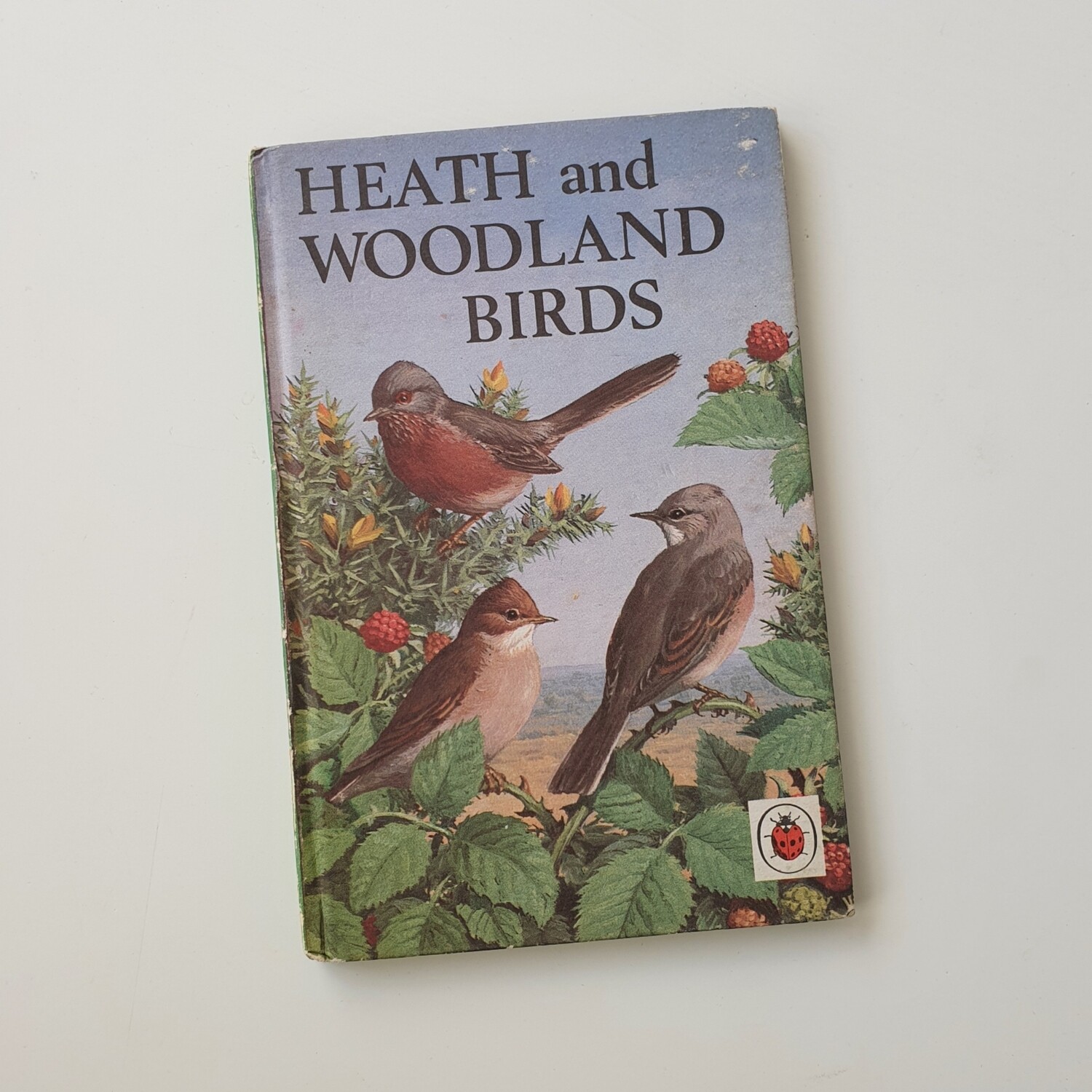 Heath and Woodland Birds - warbler, whitethroat