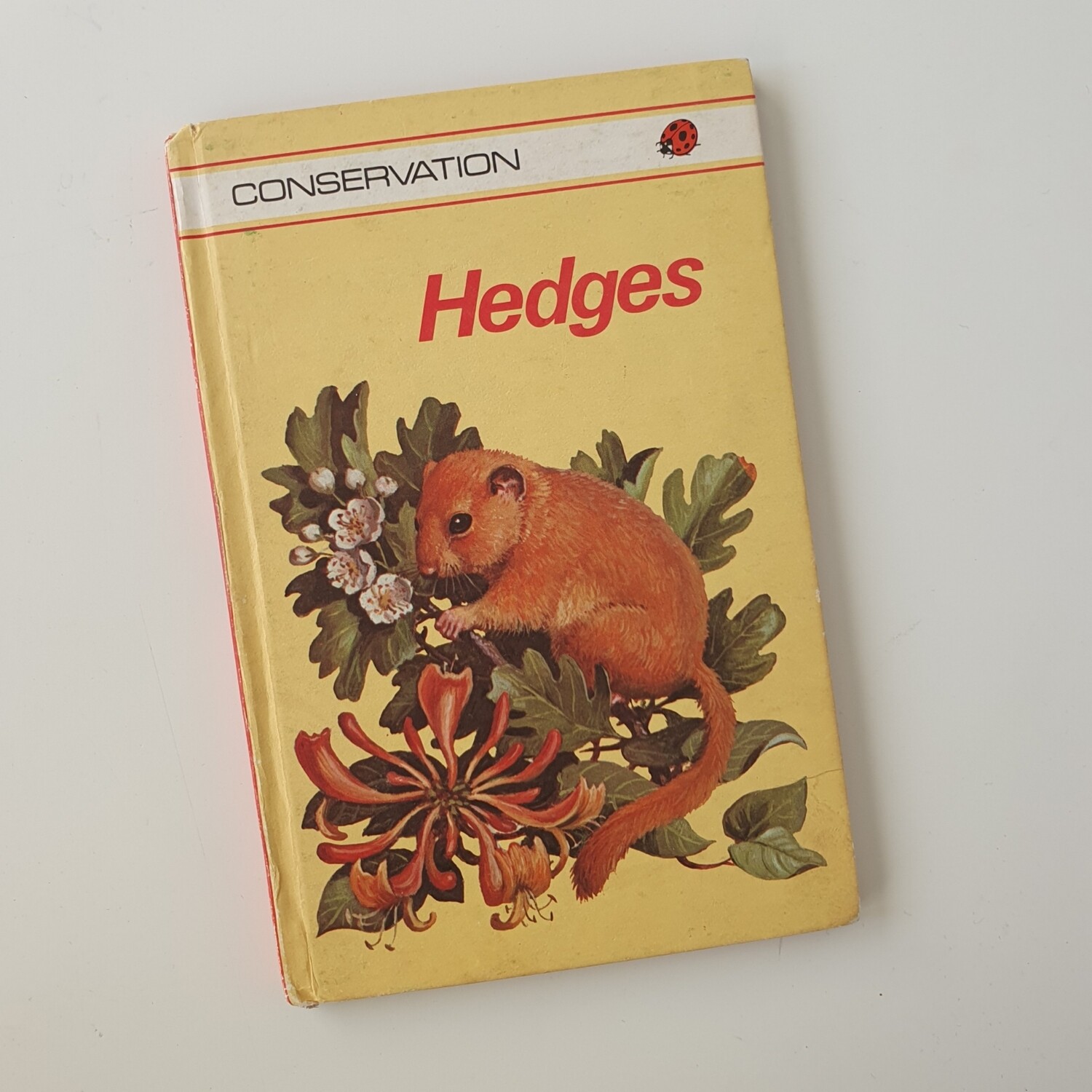 Hedges - vole