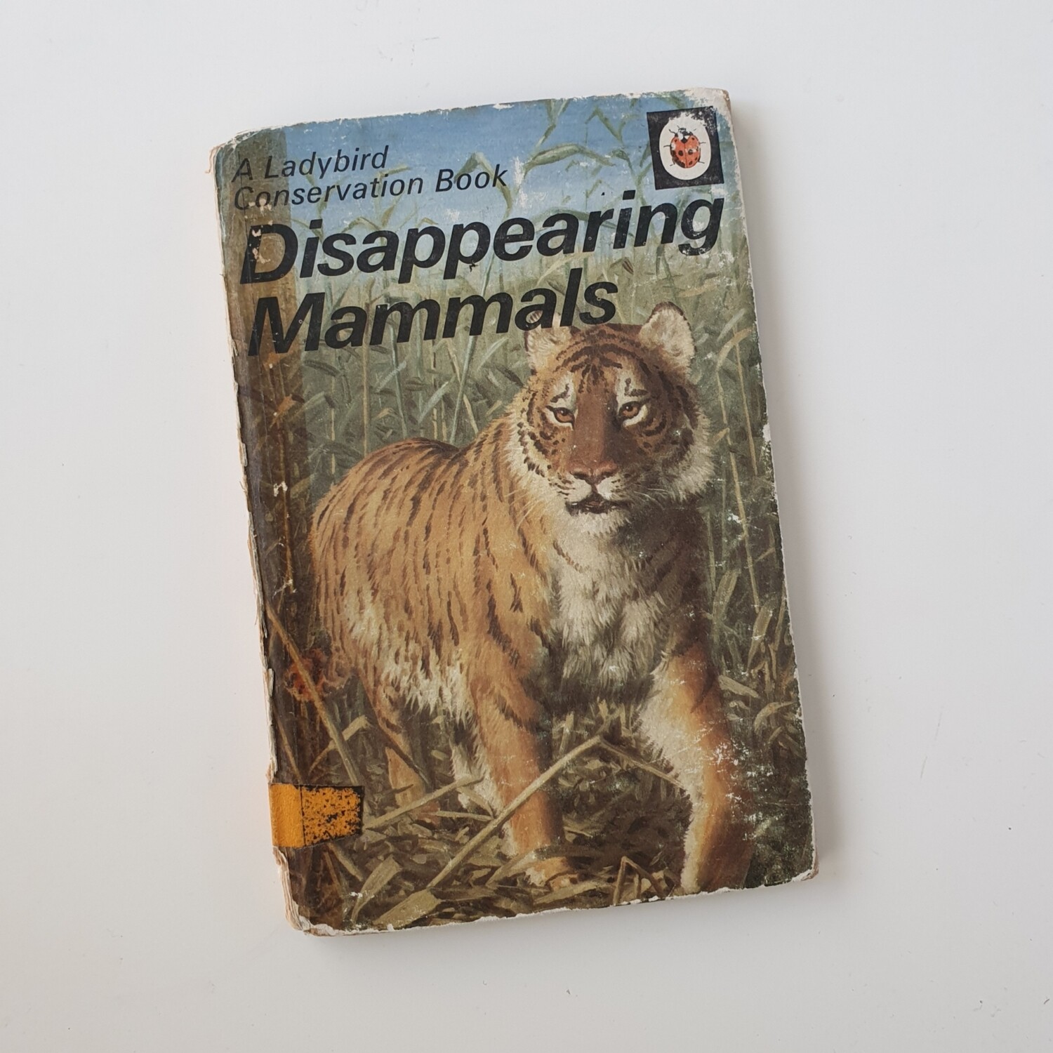 Disappearing Mammals - tiger