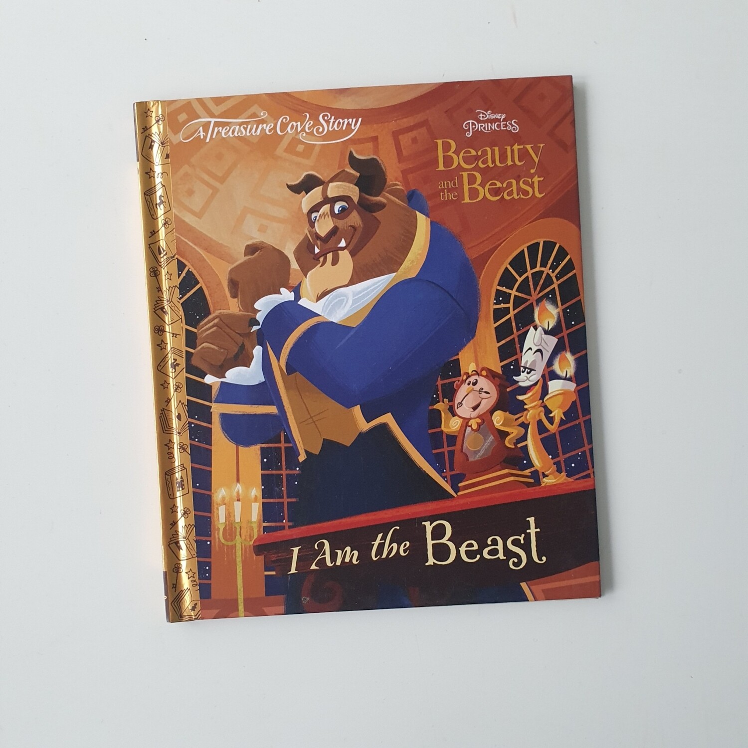 Beauty and the Beast - I am the Beast Notebook - no original book pages