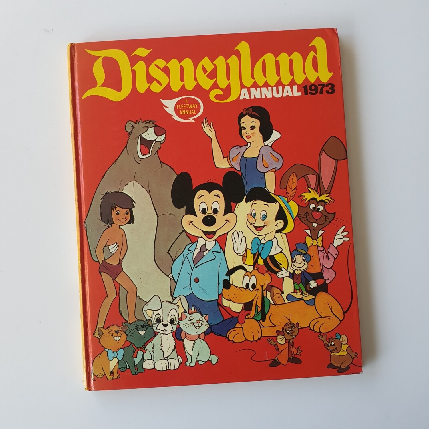 Disneyland Annual 1973 - plain paper only, bigger than A4!
