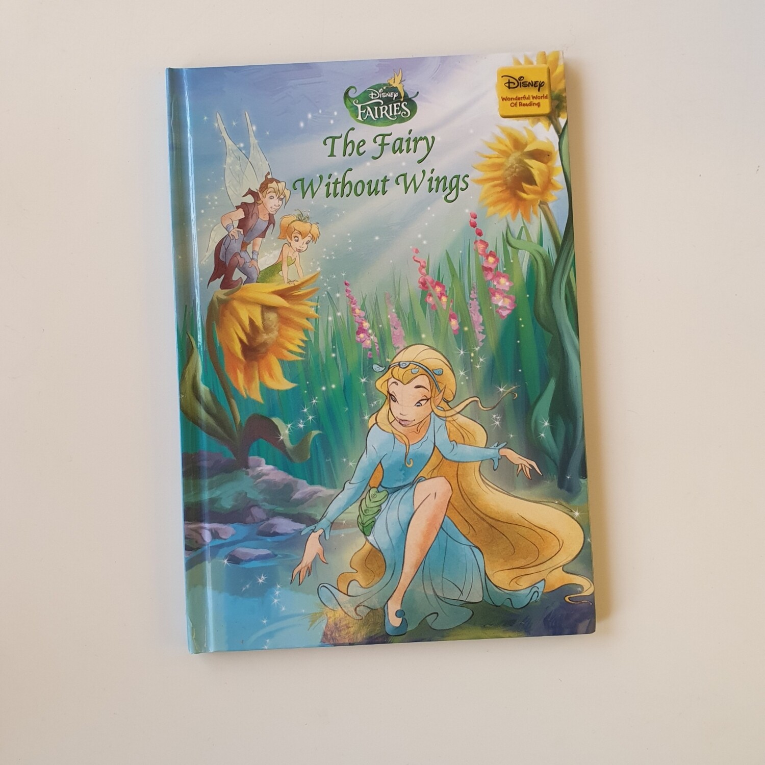 Disney Fairies - the fairy without wings Notebook