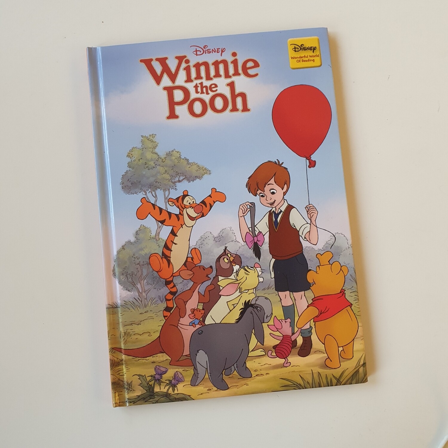Winnie the Pooh Notebook