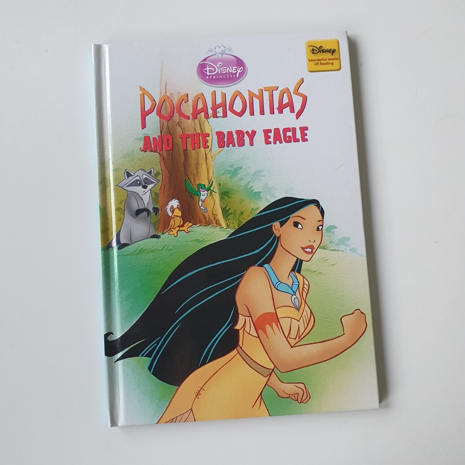 Pocahontas and the Baby Eagle Notebook