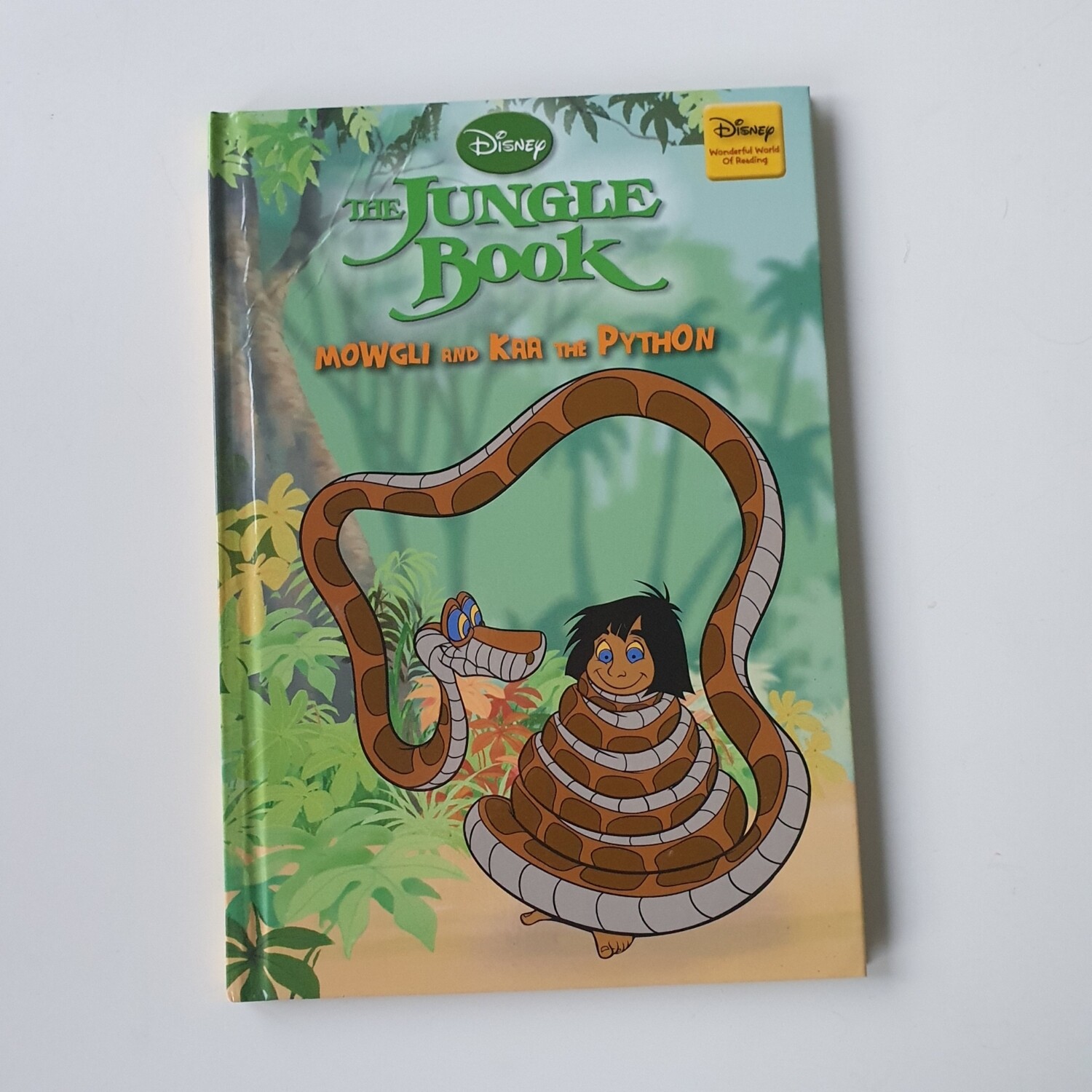 Jungle Book - Mowgli and Kaa the python Notebook