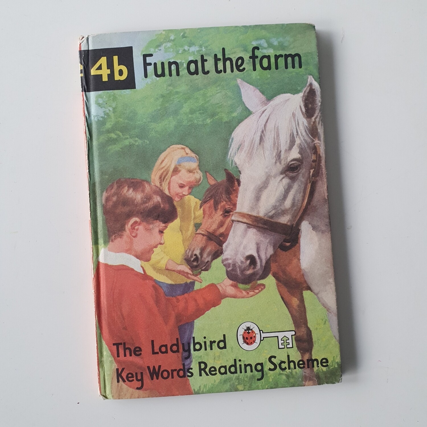 Fun at the Farm - Peter & Jane Notebook - Ladybird book