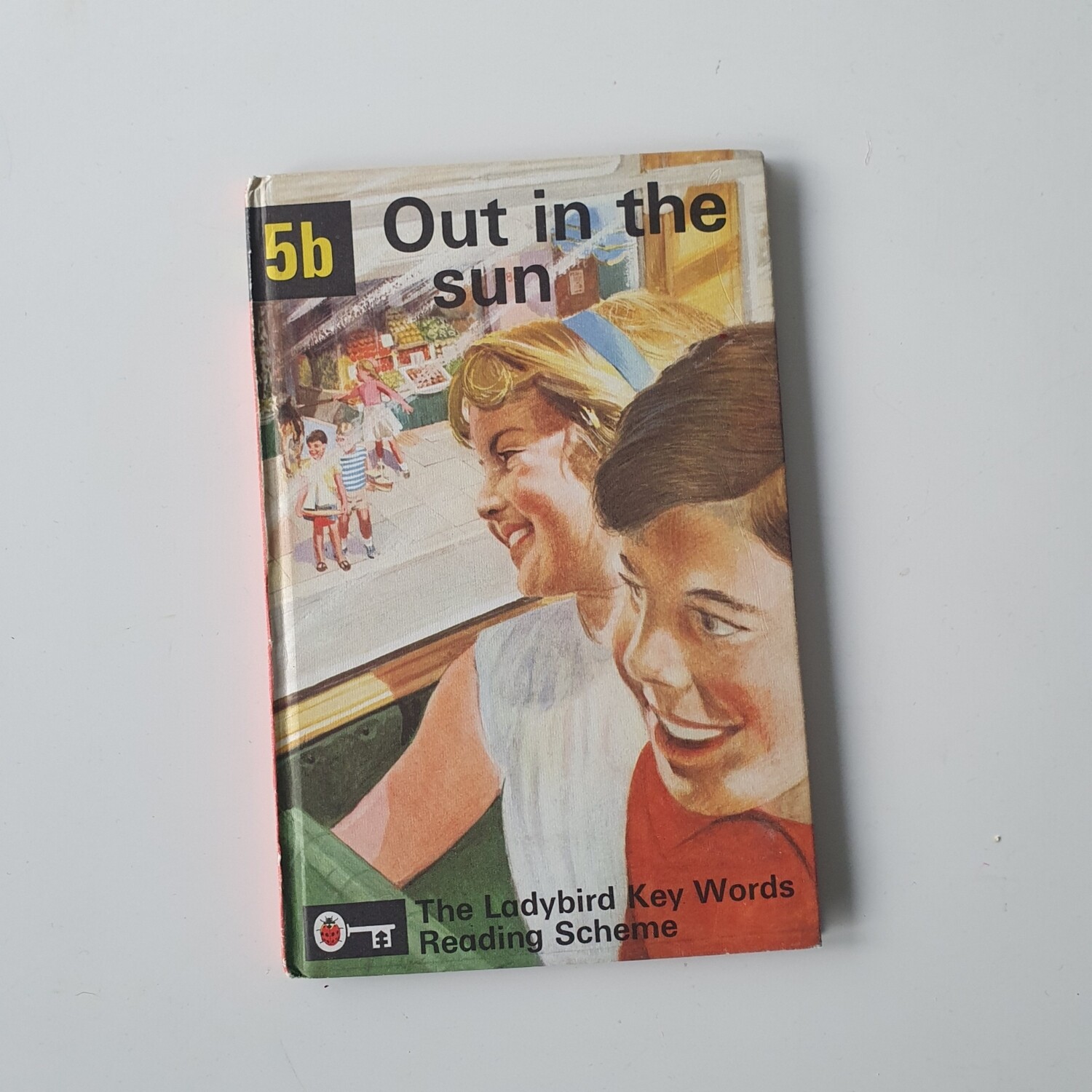 Out in the Sun - Peter & Jane Notebook - Ladybird book