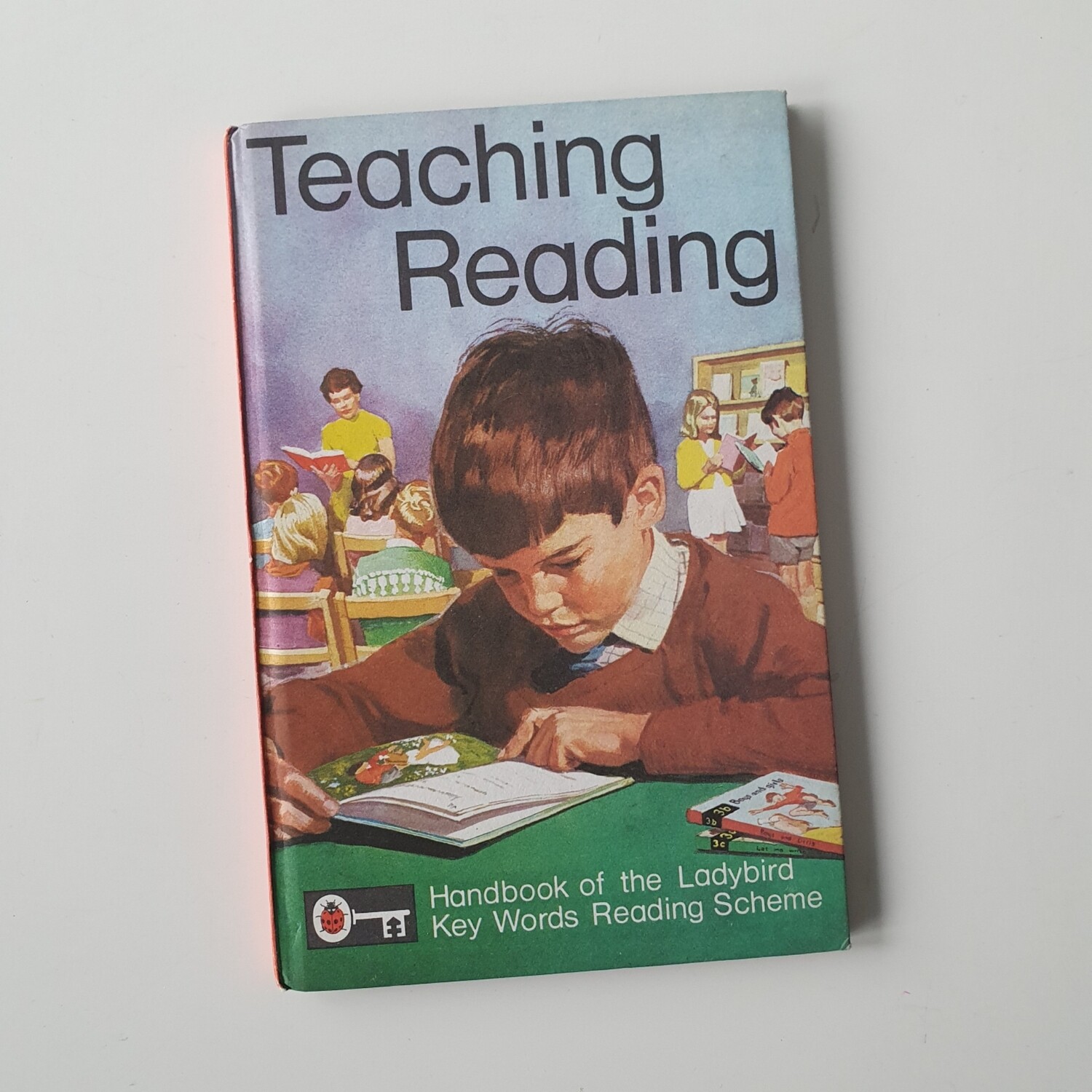 Teaching Reading Notebook - Ladybird book