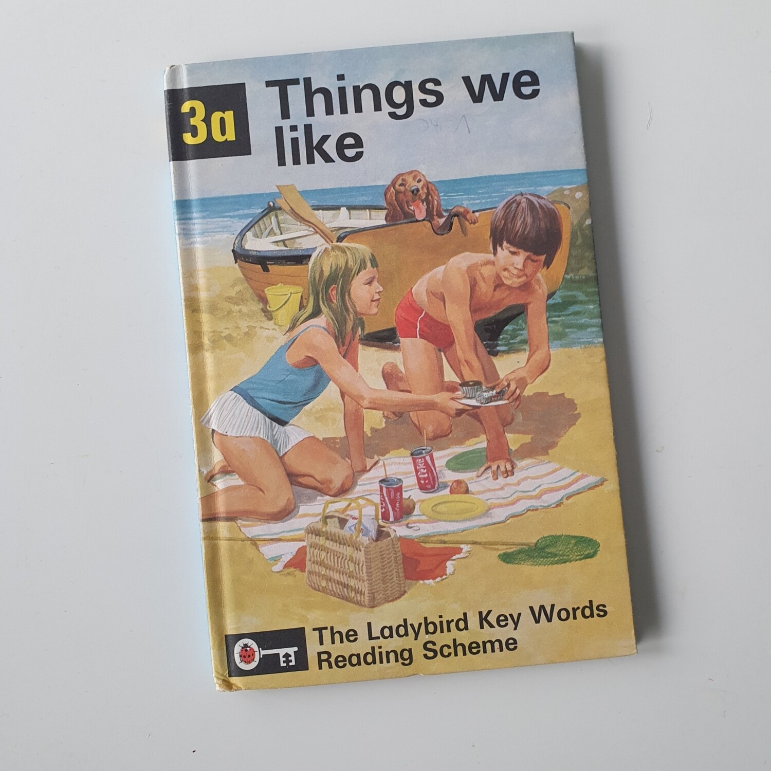 Things We Like - Peter & Jane Notebook - Ladybird book