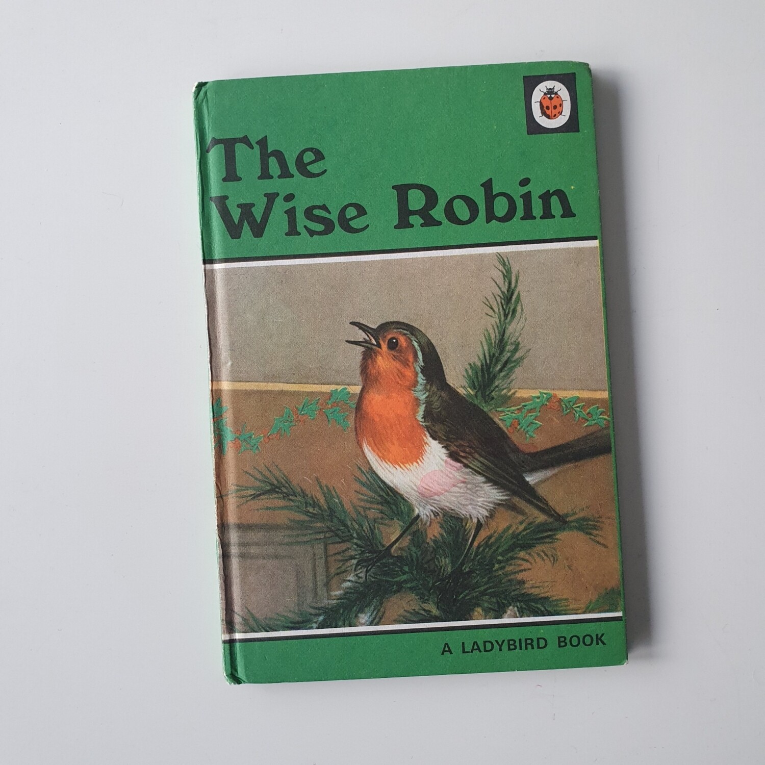 The Wise Robin Notebook - Ladybird book 