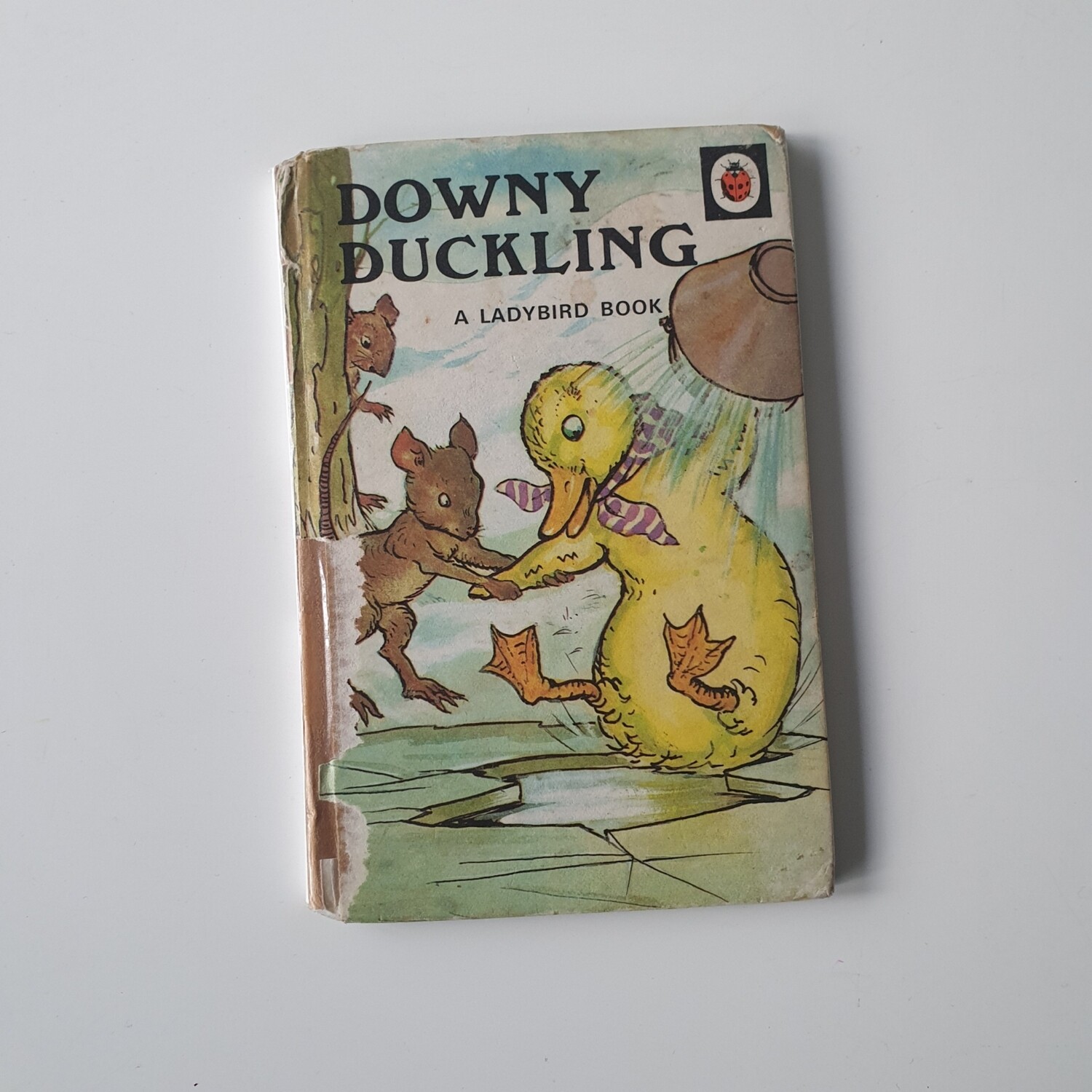 Downy Duckling Notebook - Ladybird book 