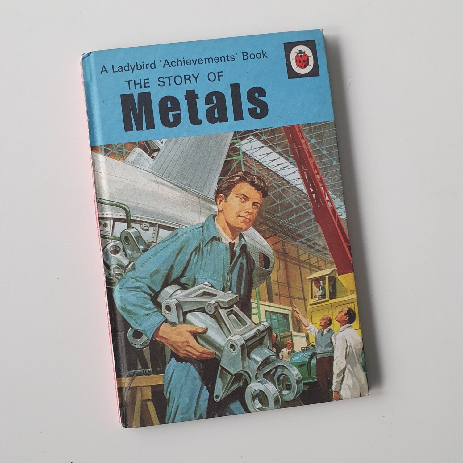 Metals Notebook - Ladybird book