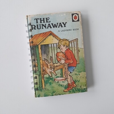 The Runaway notebook - Ladybird Book