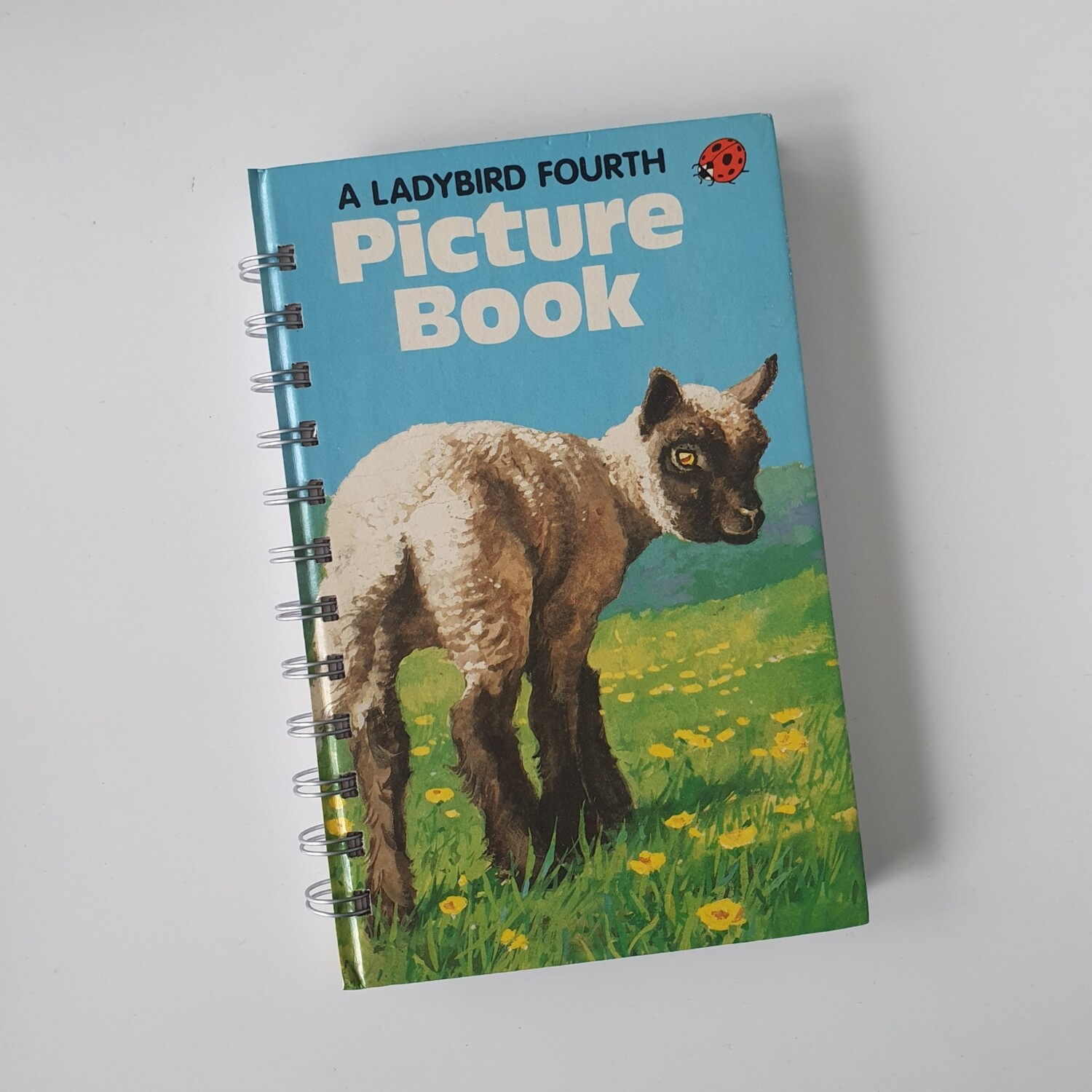 Lamb picture book plain paper notebook - Ladybird Book