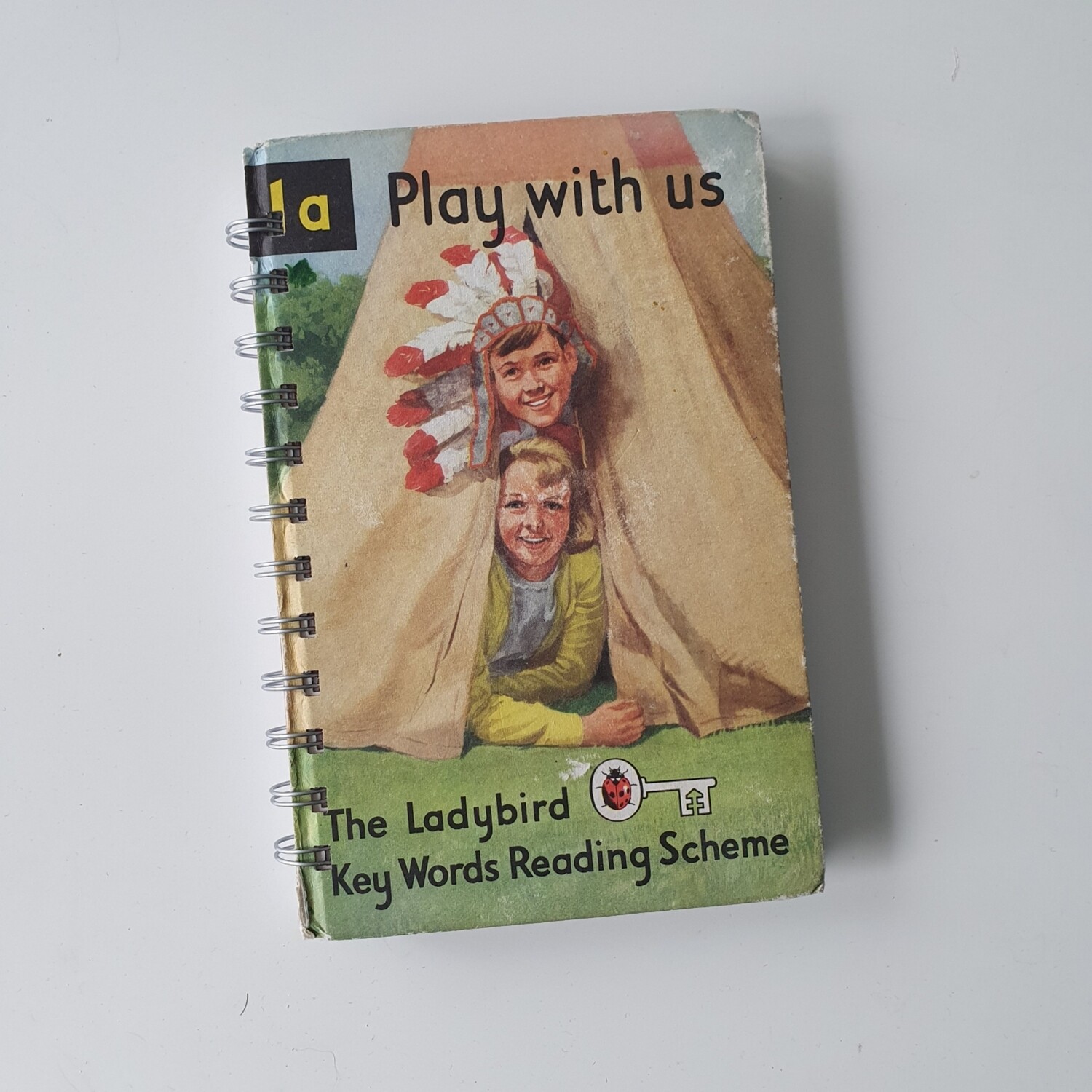 Play with Us notebook - ladybird book