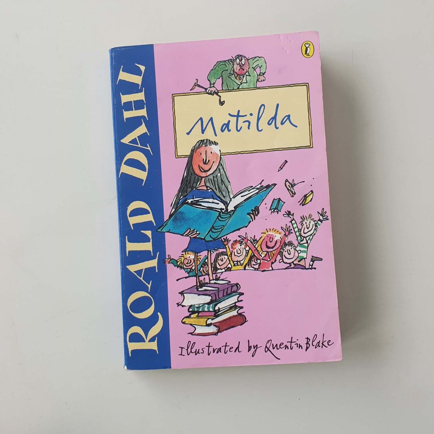 Roald Dahl Matilda Notebook- made from a paperback book