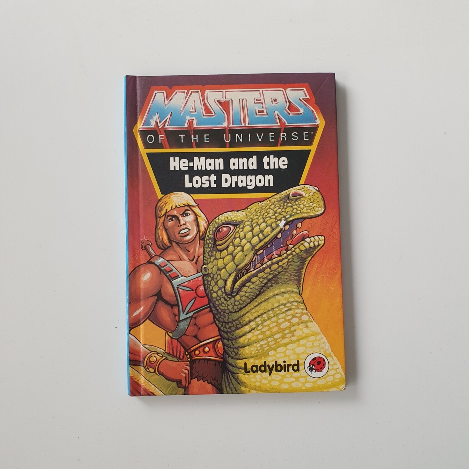 He-Man and the lost dragon