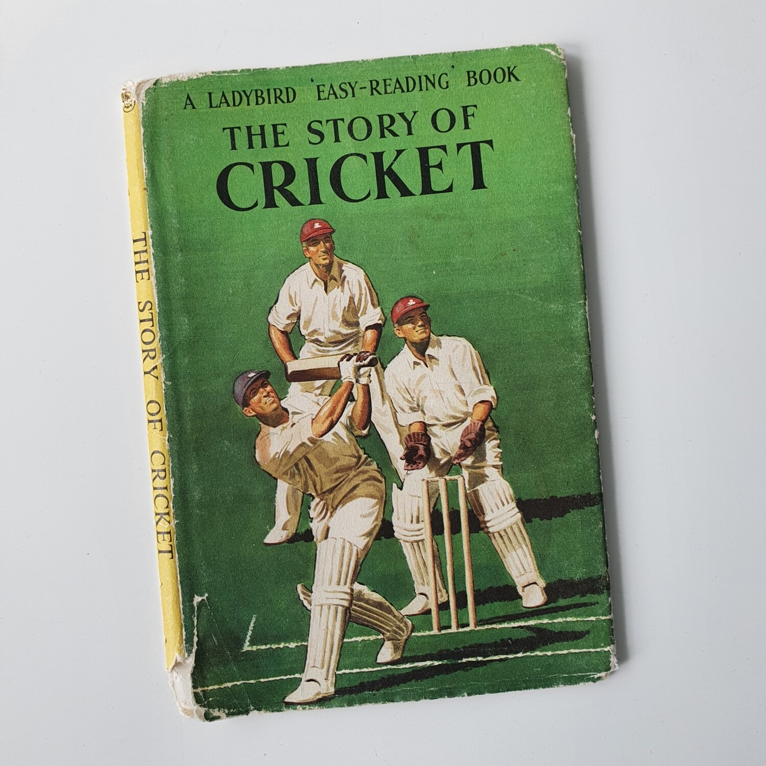 Cricket - made from a Ladybird Book dust jacket - no original book pages