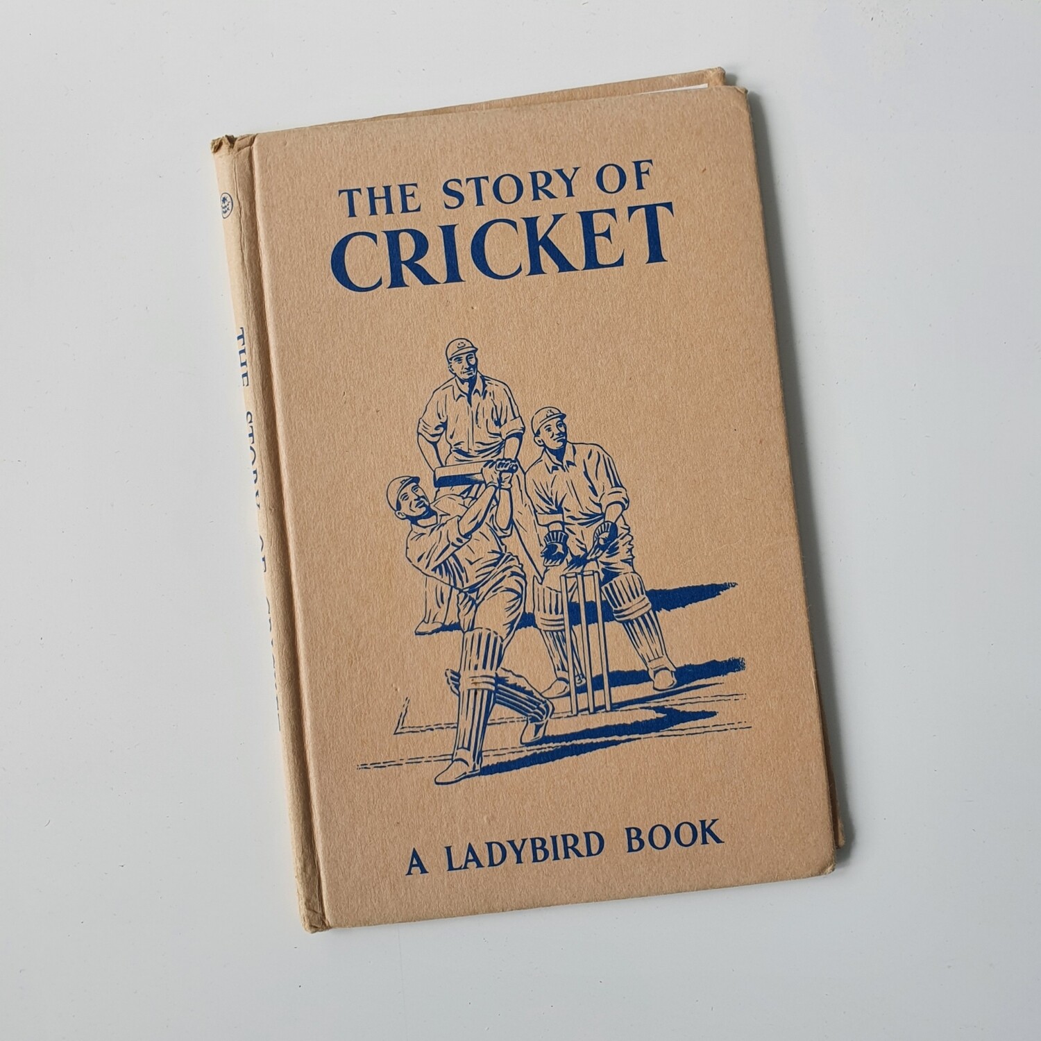 Cricket Notebook - Ladybird book - no original book pages