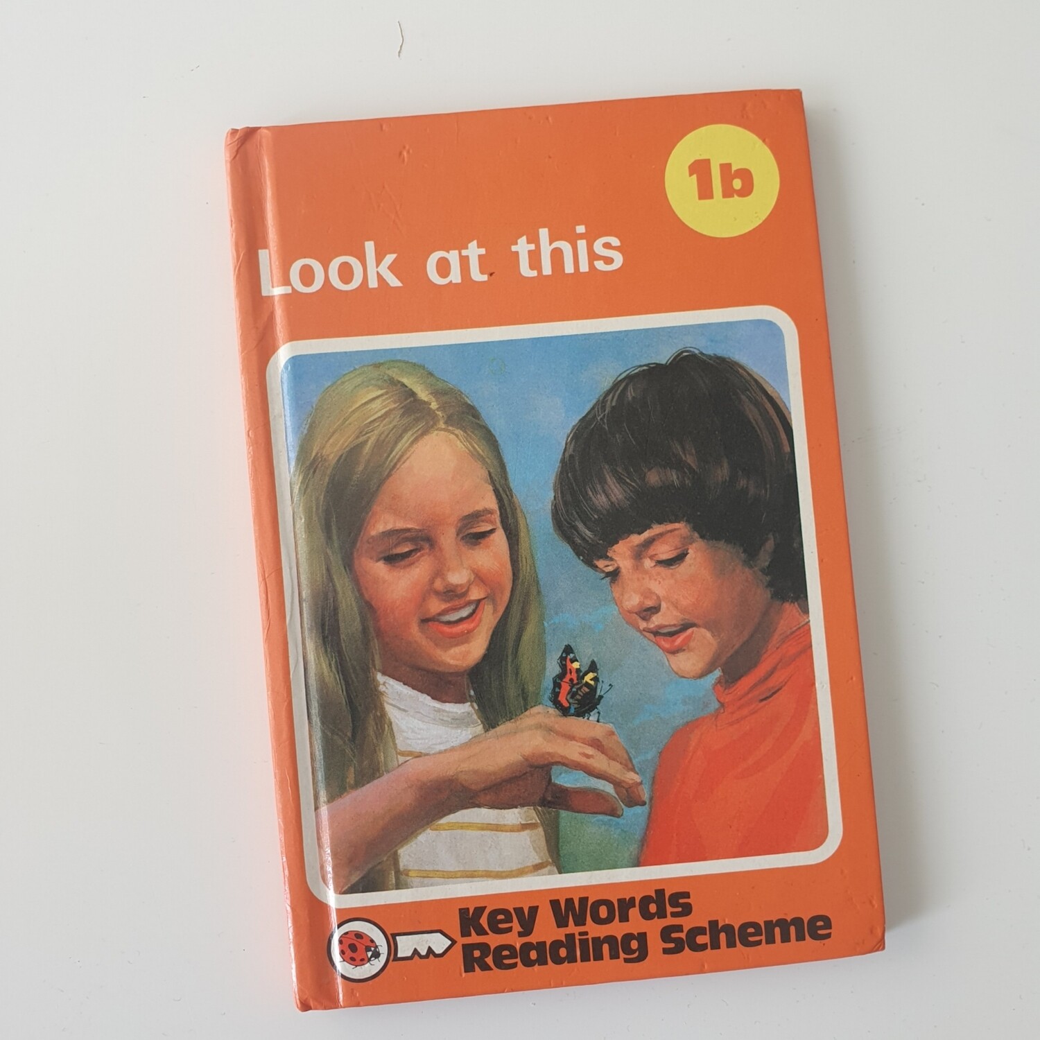 Look at this - Peter & Jane Notebook - Ladybird book