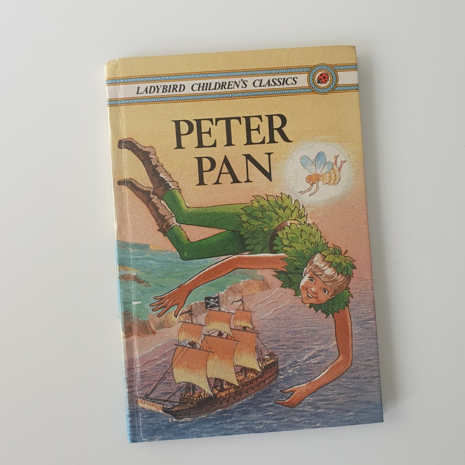 Peter Pan Notebook - Ladybird Book