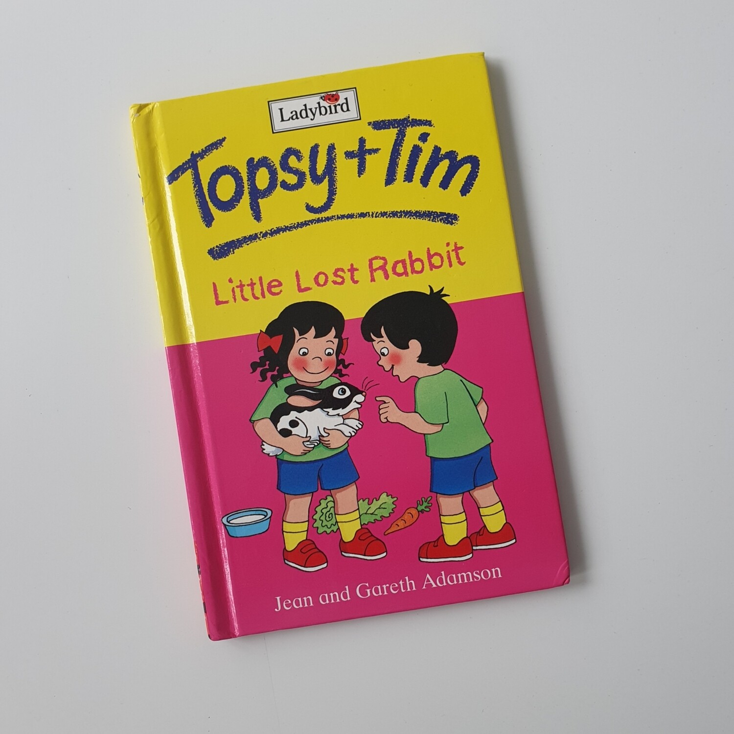 Topsy & Tim Little Lost Rabbit Ladybird Book