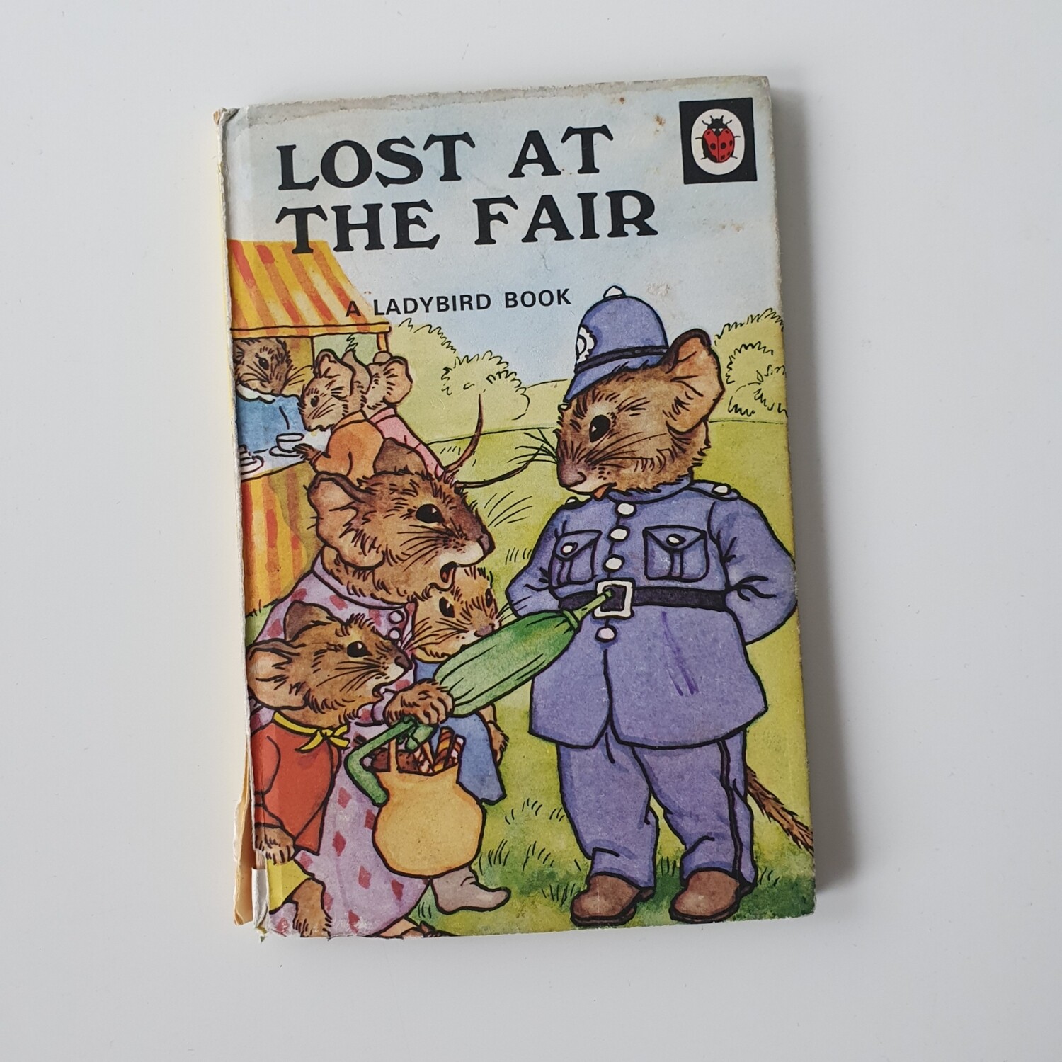 Lost at the Fair Notebook - Ladybird book