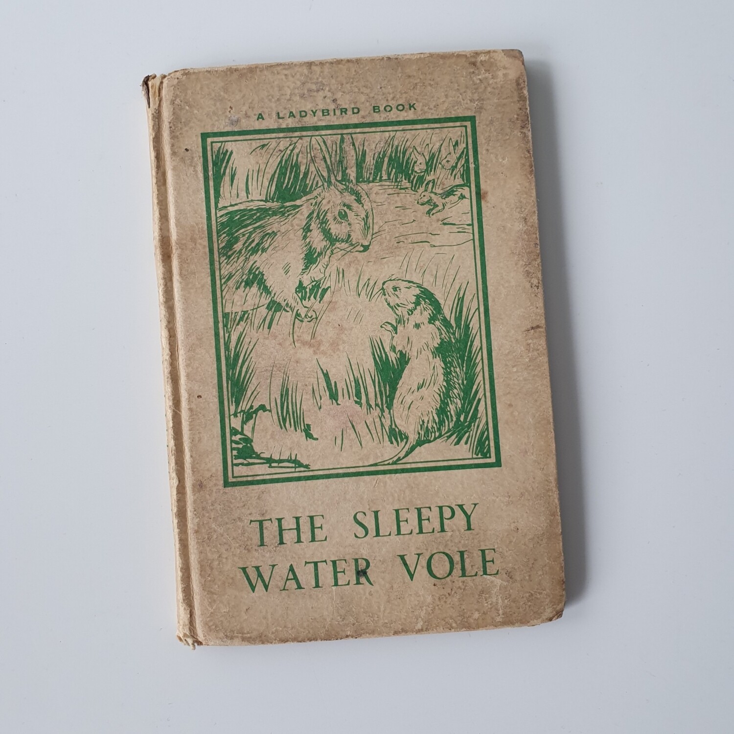 The Sleepy Water Vole Notebook - Ladybird book