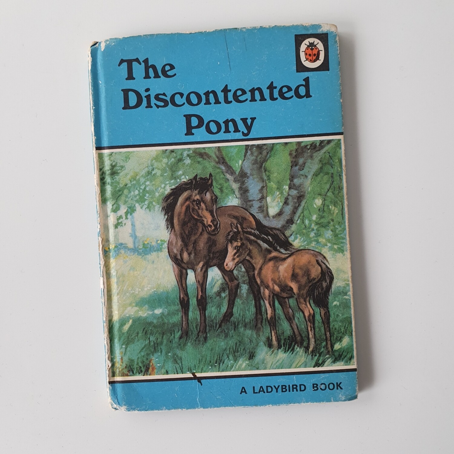 The Discontented Pony Notebook - Ladybird book