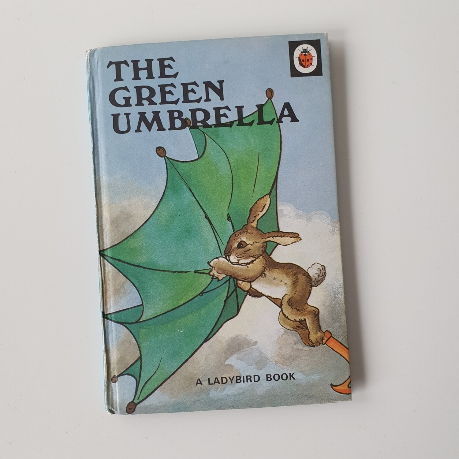 The Green Umbrella Notebook - Ladybird book - rabbit