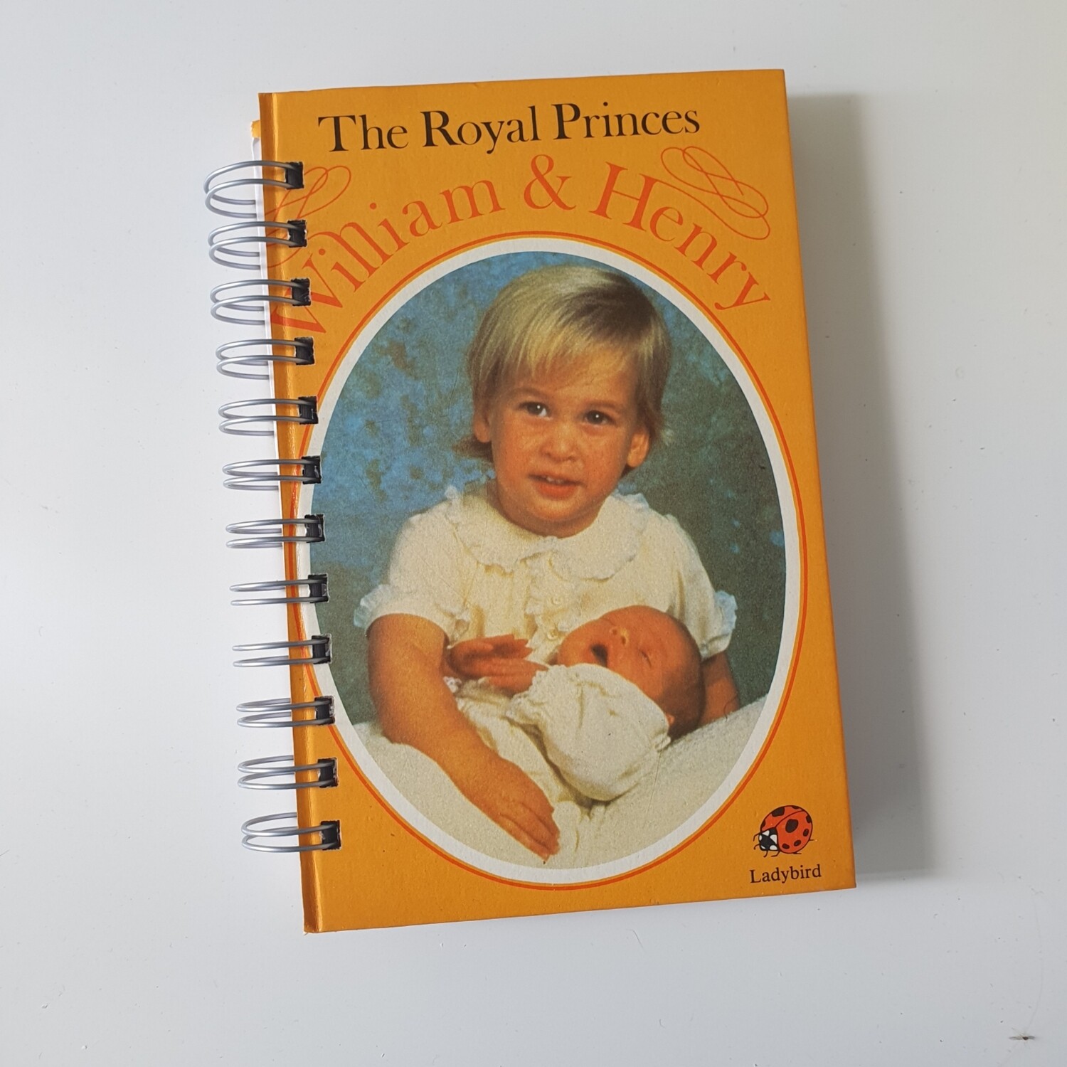 The Royal Princes William and Henry plain paper notebook - ladybird book