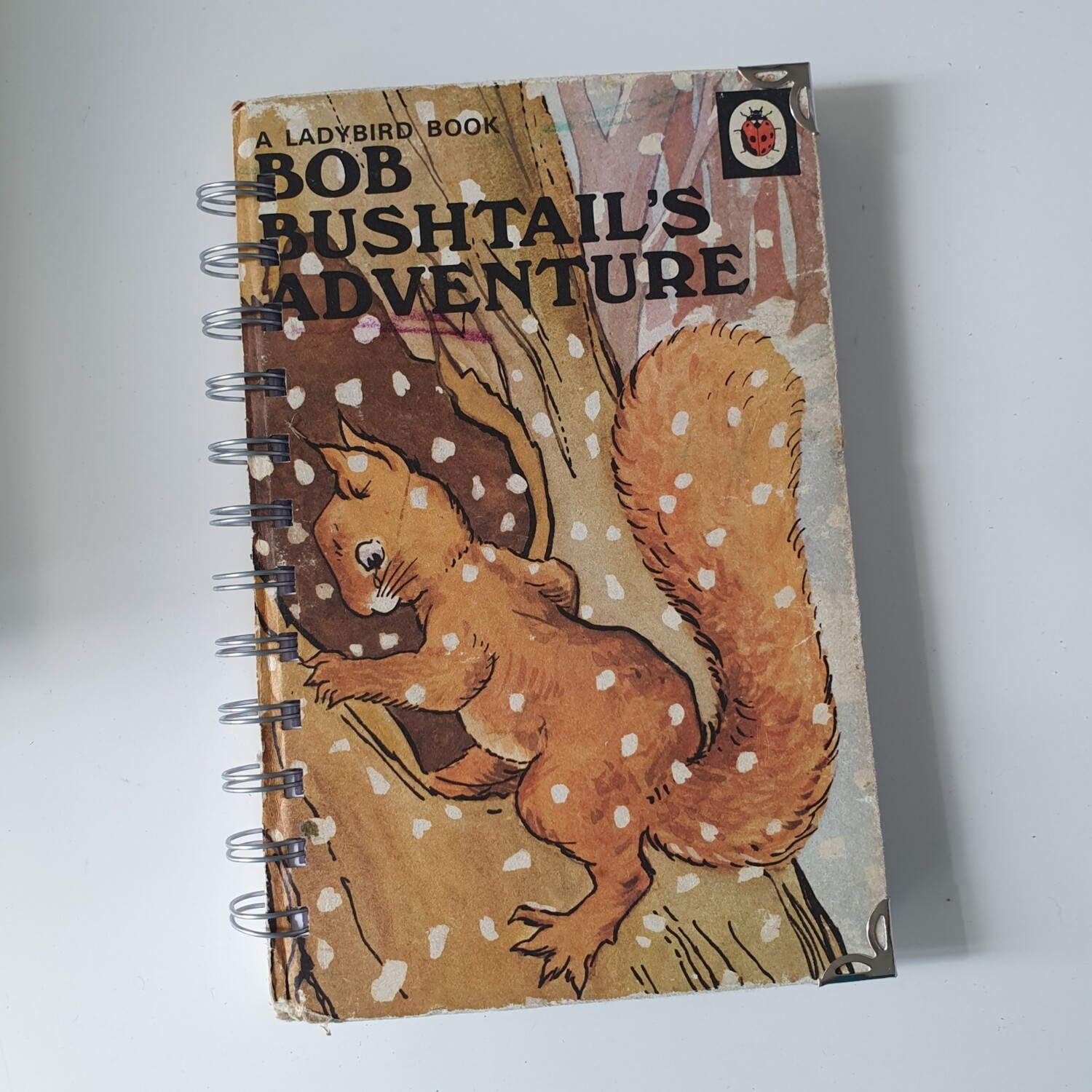 Bob Bushtail's Adventure plain paper notebook - ladybird book, squirrel