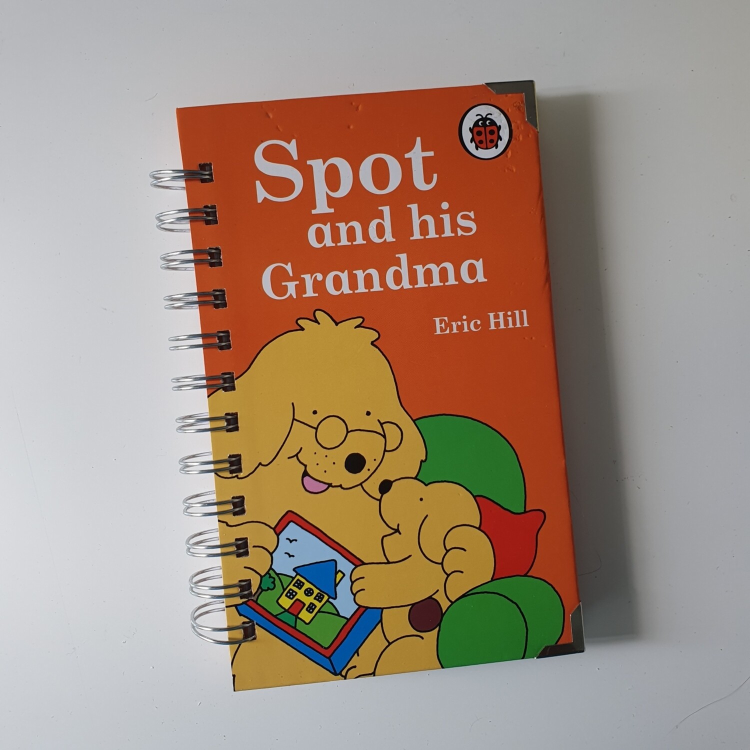 Spot and his Grandma plain paper notebook - ladybird book, dog