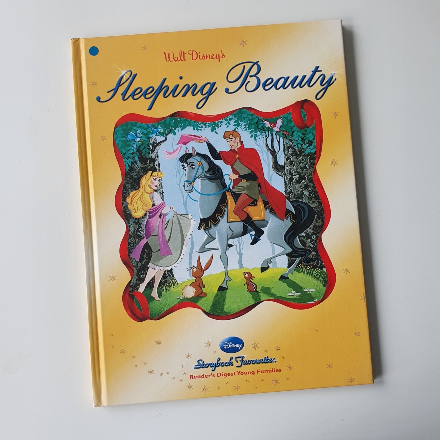 Sleeping Beauty A4 notebook