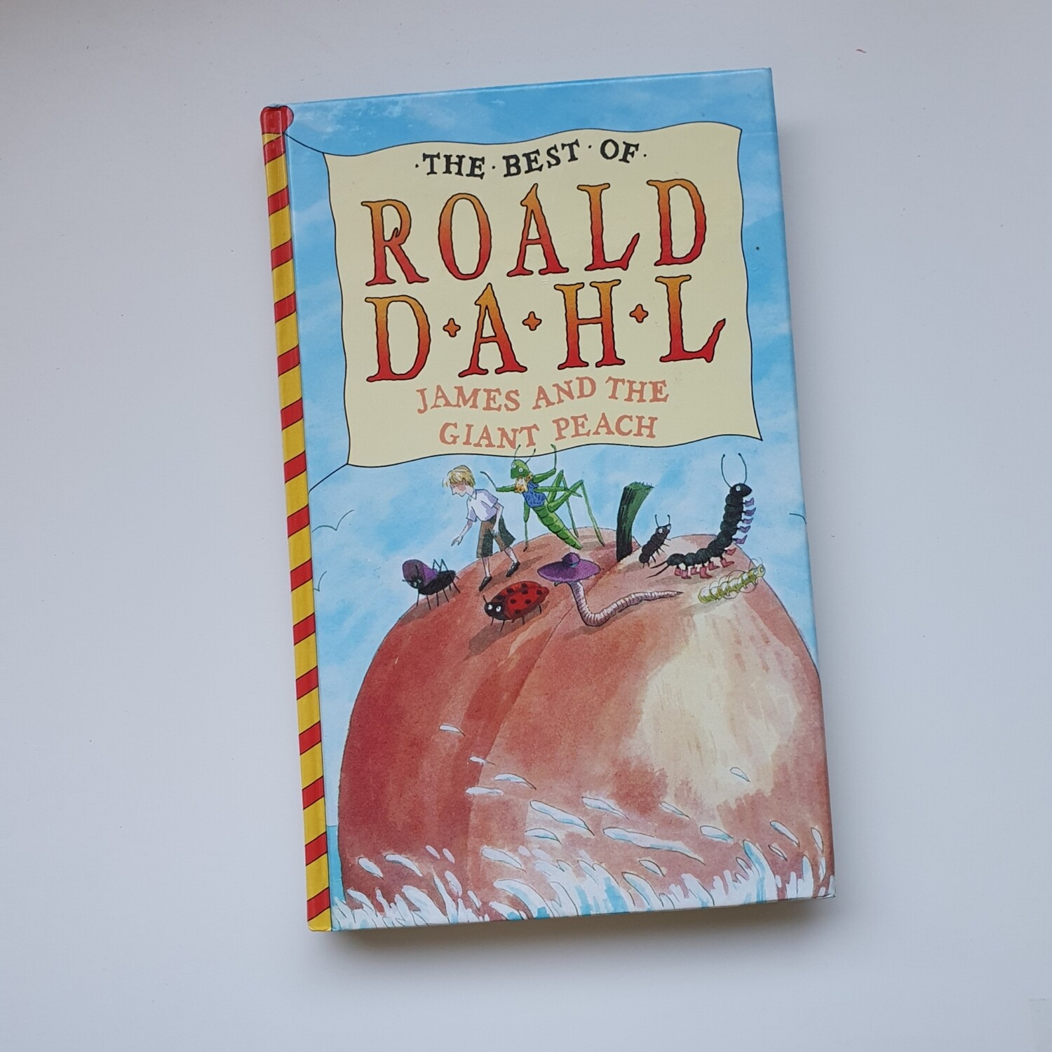 Roald Dahl - James and the Giant Peach Hardback Notebook