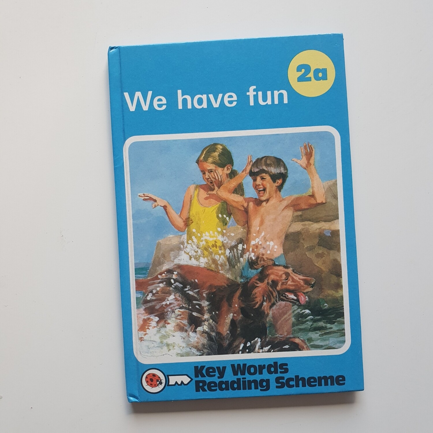 We have Fun Notebook - Peter and Jane