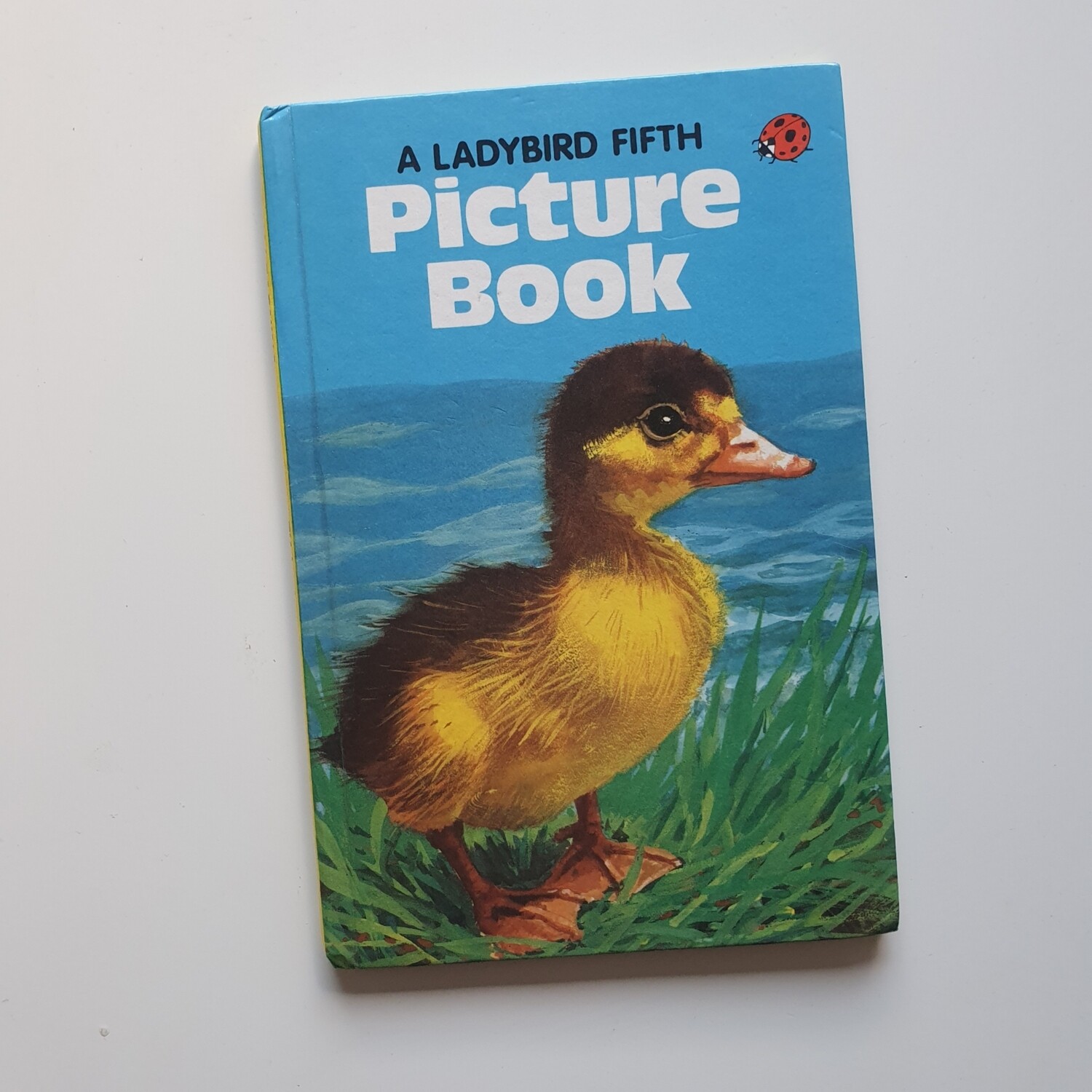 Picture Book - Duckling Notebook